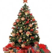 ochristmastree Ochristmastree